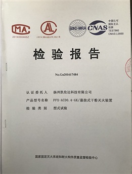 检测报告