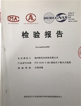 检测报告