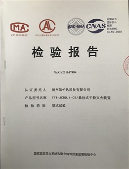 检测报告